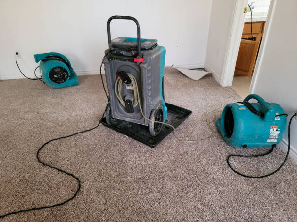 Best Basement water damage restoration  in Mitchell, IN