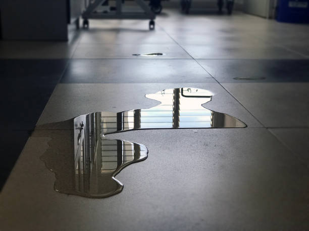 Best 24/7 water damage repair  in Mitchell, IN
