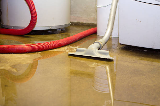 Best Flood damage cleanup  in Mitchell, IN