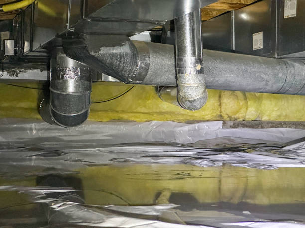 Best Basement water damage restoration  in Mitchell, IN