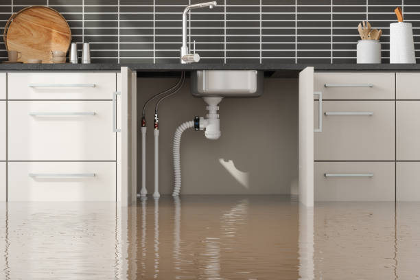 Best 24-hour water damage restoration  in Mitchell, IN