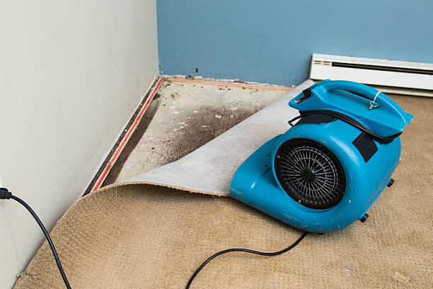 Best Emergency water damage restoration  in Mitchell, IN